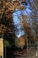 queenspark21