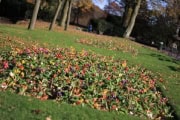 queenspark216