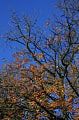queenspark22