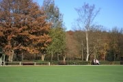 queenspark221