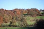 queenspark223