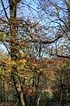 queenspark228