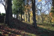 queenspark231