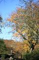 queenspark25